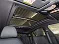 BMW X6 xDrive40d M Sportpaket Gestiksteuerung HiFi Gris - thumbnail 14