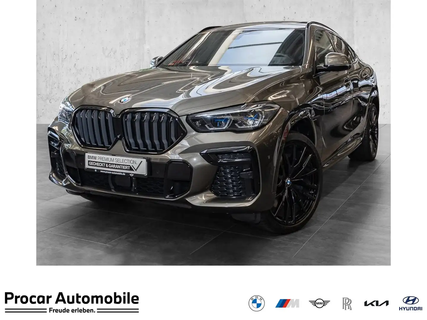 BMW X6 xDrive40d M Sportpaket Gestiksteuerung HiFi Gris - 1