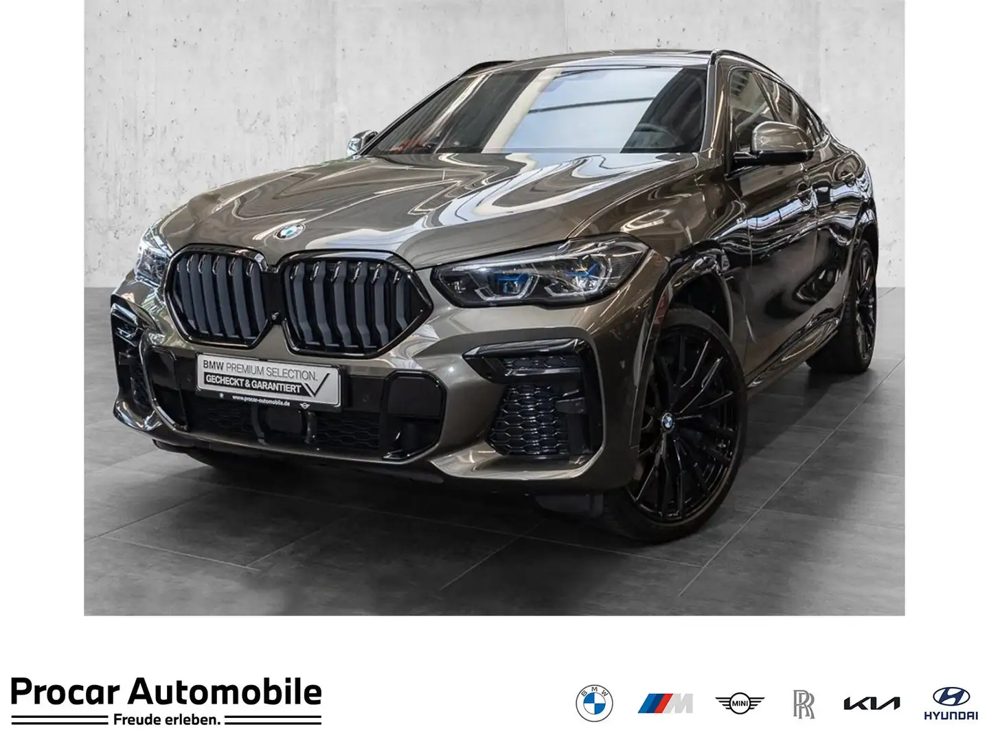 BMW X6 xDrive40d M Sportpaket Gestiksteuerung HiFi Grau - 1