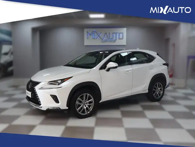 Lexus NX 300 2.5 Premium 4WD AUTO