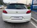 Volkswagen Scirocco 1.4 TSI EURO 5 BENZINA Blanc - thumbnail 6