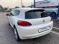 Volkswagen Scirocco 1.4 TSI EURO 5 BENZINA Blanc - thumbnail 7