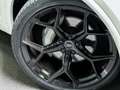 Audi Q5 55 TFSI e quattro Competition Massage|Trekhaak|Luc Wit - thumbnail 12