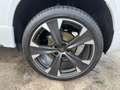 CUPRA Ateca CUPRA Ateca 1.5 TSI DSG 19 AHK LED NAVI SHZ RFK Blanco - thumbnail 11