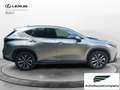 Lexus NX 300 Hybrid Premium 4WD MY22 Grau - thumbnail 7