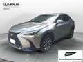 Lexus NX 300 Hybrid Premium 4WD MY22 Grau - thumbnail 1