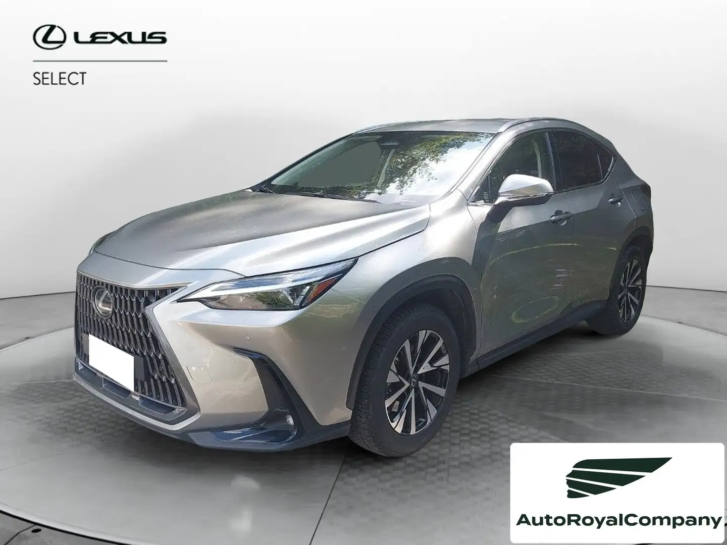 Lexus NX 300 Hybrid Premium 4WD MY22 Grau - 1