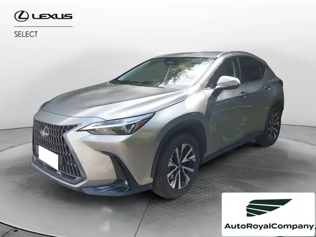 Lexus NX 300 Hybrid Premium 4WD MY22