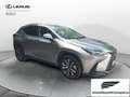 Lexus NX 300 Hybrid Premium 4WD MY22 Grau - thumbnail 6