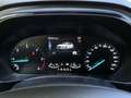Ford Focus 5 Porte 1.5 EcoBlue ST-Line Grigio - thumbnail 13