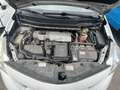 Toyota Prius+ Prius+ 1,8 VVT-i Hybrid Comfort Blanc - thumbnail 19