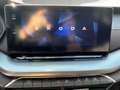 Skoda Octavia 4x4 Ambition TDI DSG Silber - thumbnail 10
