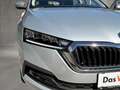 Skoda Octavia 4x4 Ambition TDI DSG Silber - thumbnail 14