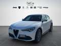 Alfa Romeo Stelvio Stelvio 2.2 Turbo Diesel 160 Cv. AT8 RWD Super Bianco - thumbnail 2