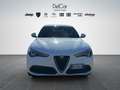 Alfa Romeo Stelvio Stelvio 2.2 Turbo Diesel 160 Cv. AT8 RWD Super Bianco - thumbnail 1