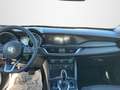 Alfa Romeo Stelvio Stelvio 2.2 Turbo Diesel 160 Cv. AT8 RWD Super Bianco - thumbnail 14