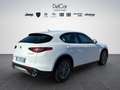Alfa Romeo Stelvio Stelvio 2.2 Turbo Diesel 160 Cv. AT8 RWD Super Bianco - thumbnail 6