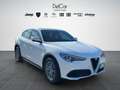 Alfa Romeo Stelvio Stelvio 2.2 Turbo Diesel 160 Cv. AT8 RWD Super Bianco - thumbnail 8