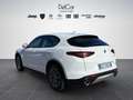 Alfa Romeo Stelvio Stelvio 2.2 Turbo Diesel 160 Cv. AT8 RWD Super Bianco - thumbnail 4