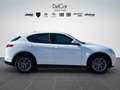 Alfa Romeo Stelvio Stelvio 2.2 Turbo Diesel 160 Cv. AT8 RWD Super Bianco - thumbnail 7