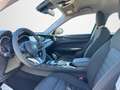 Alfa Romeo Stelvio Stelvio 2.2 Turbo Diesel 160 Cv. AT8 RWD Super Bianco - thumbnail 9