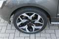 Ford EcoSport 1.0 EcoBoost 125 PK ST-Line | Camera | B&O Sound | Grijs - thumbnail 27