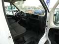 Citroen Jumper Jumper 33 BlueHDi 140 S&S PC-TN Furgone Blanc - thumbnail 21
