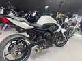 Yamaha XJ 6 Bianco - thumbnail 4