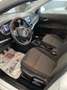 Fiat Tipo Tipo 1.4 GPL NUOVO Blanc - thumbnail 5