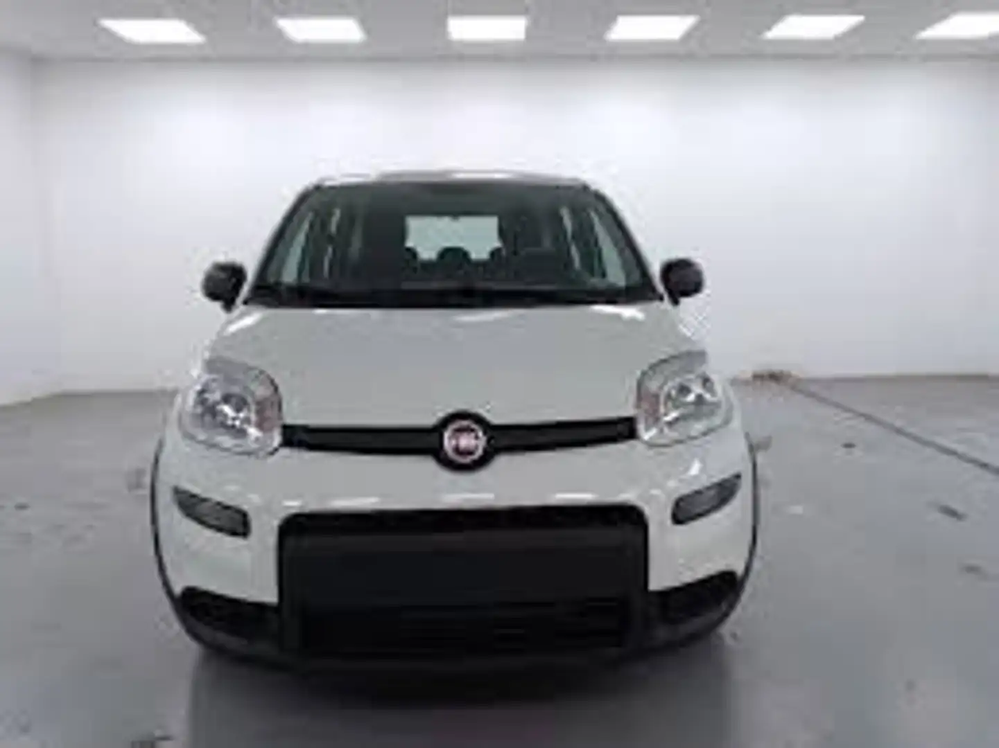 Fiat Panda Panda 1.0 FireFly S&S Hybrid Bianco - 2