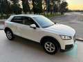 Audi Q2 30 1.6 TDI Business CAMBIO MANUALE Bianco - thumbnail 3