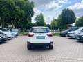 Ford EcoSport +KLIMA+SHZ+PDC+ALU+EURO 6+ Weiß - thumbnail 4