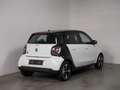 smart forFour electric drive / EQ+Winterpaket+Ganzjahresreifen Bianco - thumbnail 4