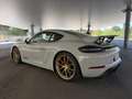 Porsche Cayman 718 GT4 Grau - thumbnail 1