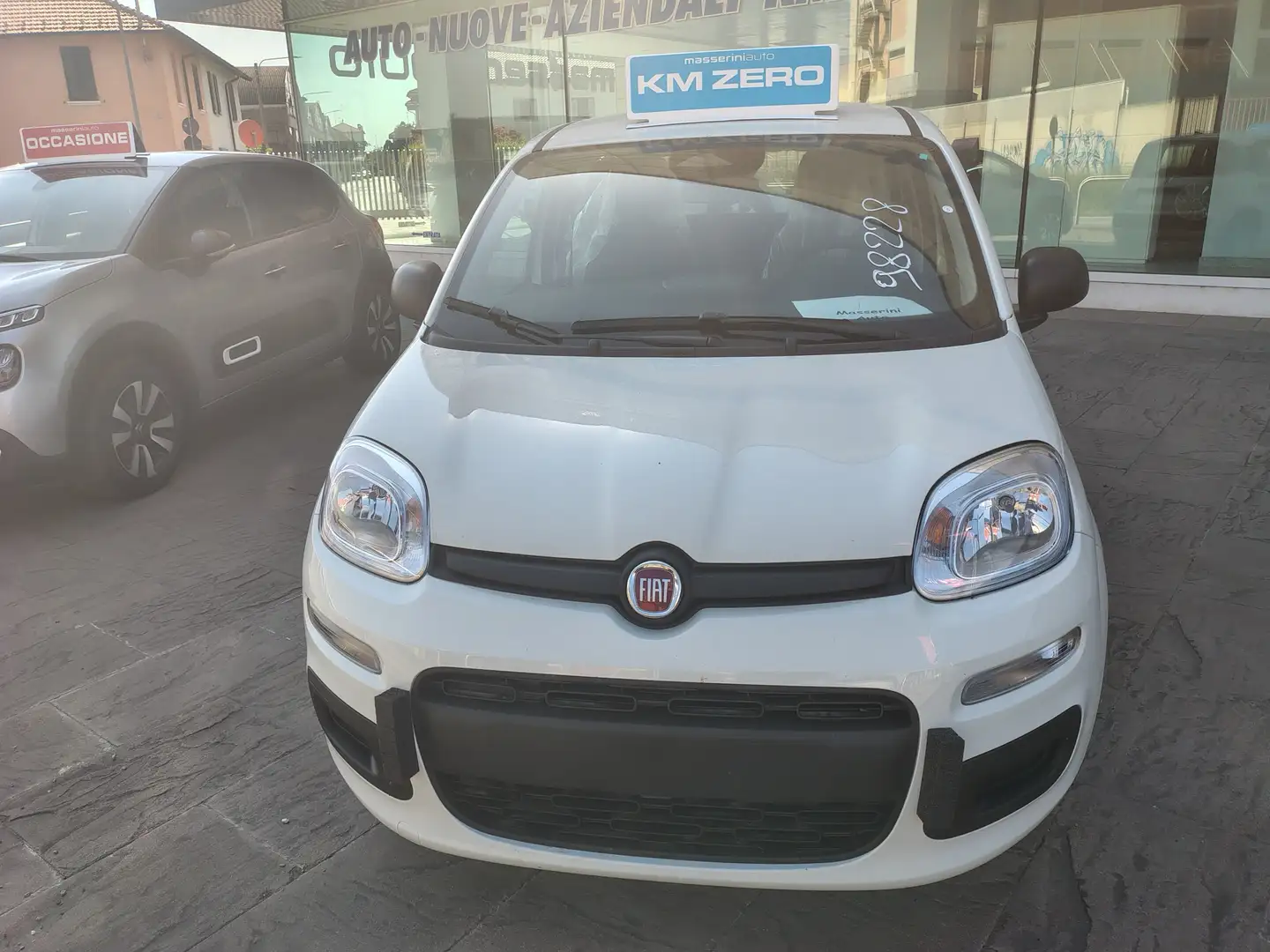 Fiat Panda PANDA my 251.0 Firefly 70CV Hybrid Bianco - 2