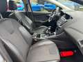 Ford Focus Enkel voor professionele verkoop. Silber - thumbnail 9