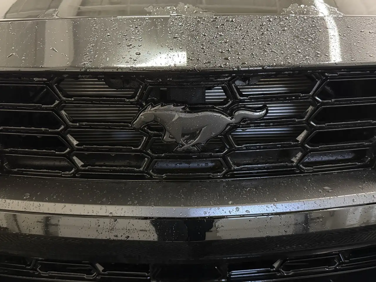 Ford Mustang снимка Ford Mustang