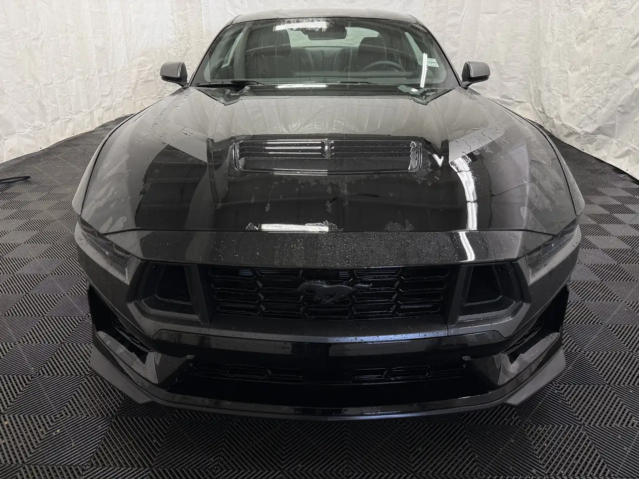 Ford Mustang снимка Ford Mustang