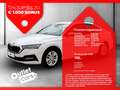 Skoda Octavia 2.0 TDI Ambition LED+KeyLess+LM+PDC+SHZ Weiß - thumbnail 1