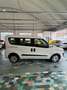 Fiat Doblo Doblo 2.0 mjt 16v Emotion SOLO A COMMERCIANTI Blanc - thumbnail 4