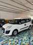 Fiat Doblo Doblo 2.0 mjt 16v Emotion SOLO A COMMERCIANTI Blanc - thumbnail 1