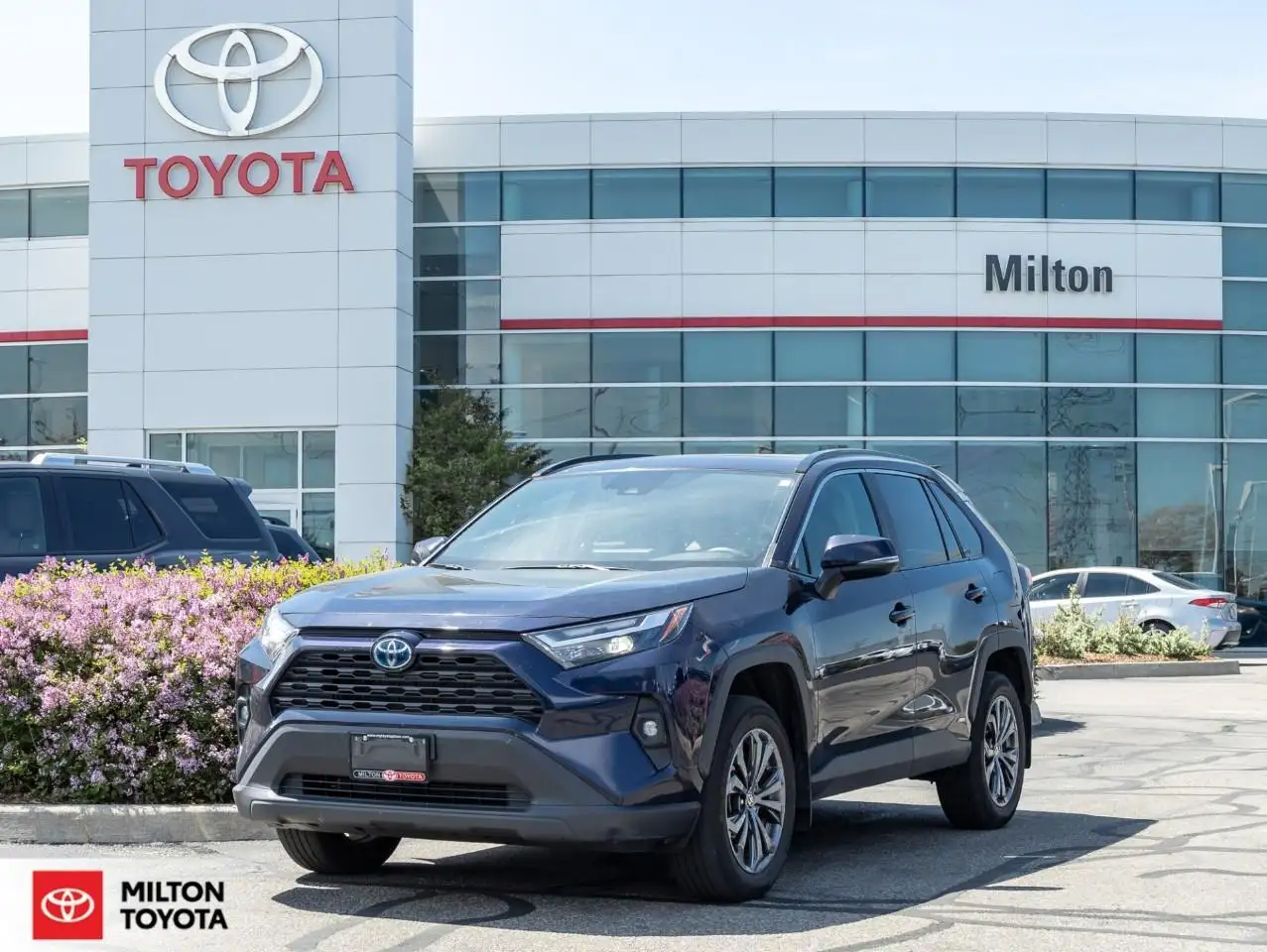 2024 Toyota RAV 4