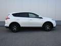 Toyota RAV 4 RAV4 2,5 Hybrid Active 4WD Aut. Weiß - thumbnail 5