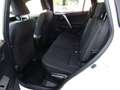 Toyota RAV 4 RAV4 2,5 Hybrid Active 4WD Aut. Weiß - thumbnail 11