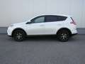 Toyota RAV 4 RAV4 2,5 Hybrid Active 4WD Aut. Weiß - thumbnail 2