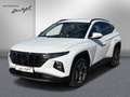 Hyundai TUCSON 1.6 T-GDi Plug-in-Hybr 4WD Prime,360°,ACC,VOLL-LED Weiß - thumbnail 1