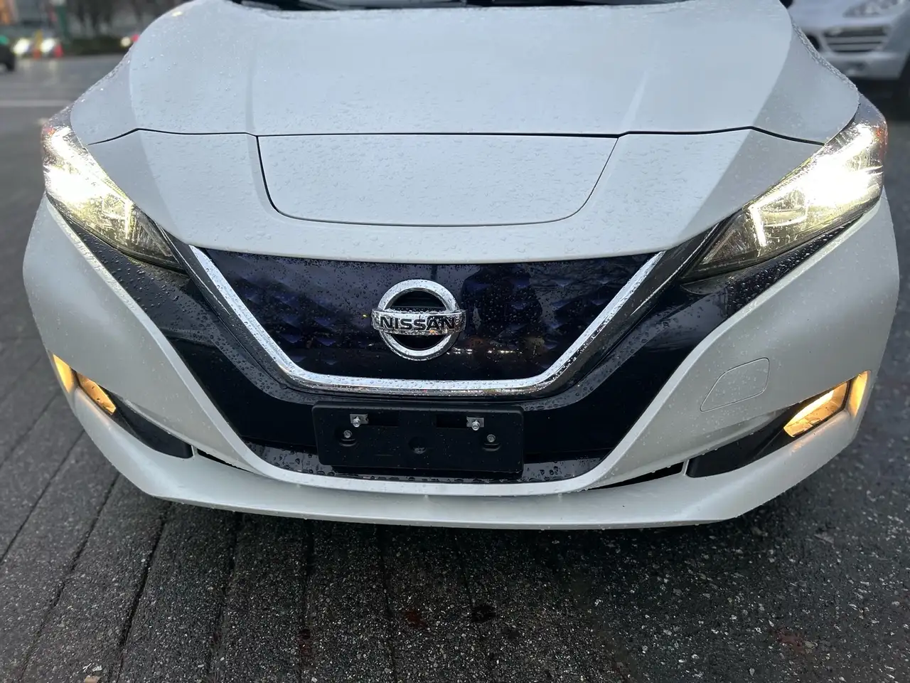 Nissan Leaf снимка Nissan Leaf