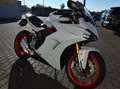 Ducati SuperSport Wit - thumbnail 6