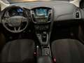 Ford Focus Focus 1.5 TDCi 95 CV Start&Stop Titanium Gris - thumbnail 9