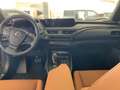 Lexus UX 300e LUXURY HUD LEDER L Navi Keyless Dyn. Kurvenlicht L Grau - thumbnail 12